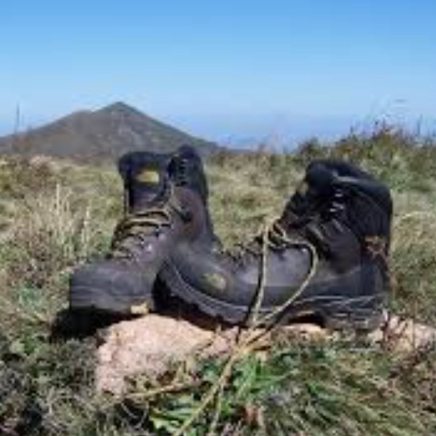 Xu hướng toàn cầu về an toàn giày dép: Những điều nhà sản xuất cần biết